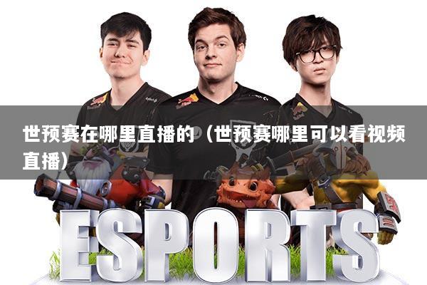 世预赛在哪里直播的(世预赛哪里可以看视频直播)