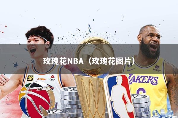 玫瑰花NBA(玫瑰花图片)